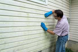 Affordable Siding Repair and Maintenance Services in Auburndale, FL